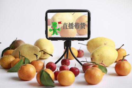 小红书娱乐圈吃瓜直播带货,小红书上的吃瓜与购物狂欢